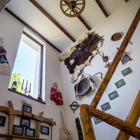 Casa Mosului - Transfagarasan Bed & Breakfast Cîrţişoara 외부 사진