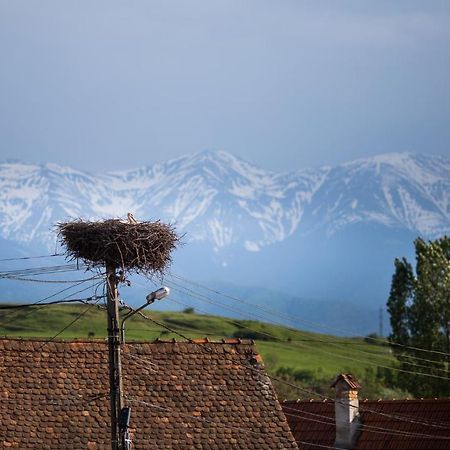 Casa Mosului - Transfagarasan Bed & Breakfast Cîrţişoara 외부 사진