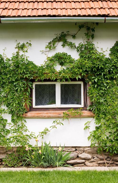 Casa Mosului - Transfagarasan Bed & Breakfast Cîrţişoara 외부 사진