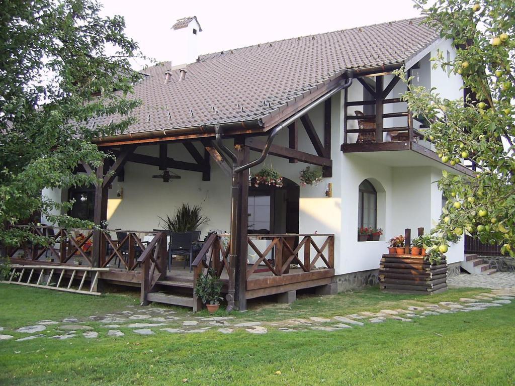 Casa Mosului - Transfagarasan Bed & Breakfast Cîrţişoara 외부 사진