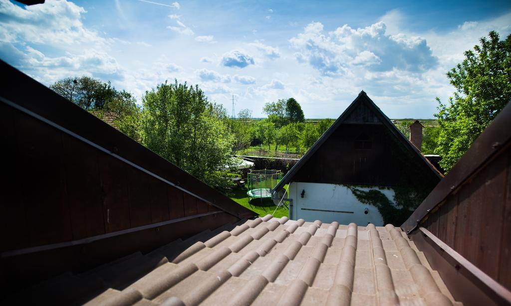 Casa Mosului - Transfagarasan Bed & Breakfast Cîrţişoara 외부 사진