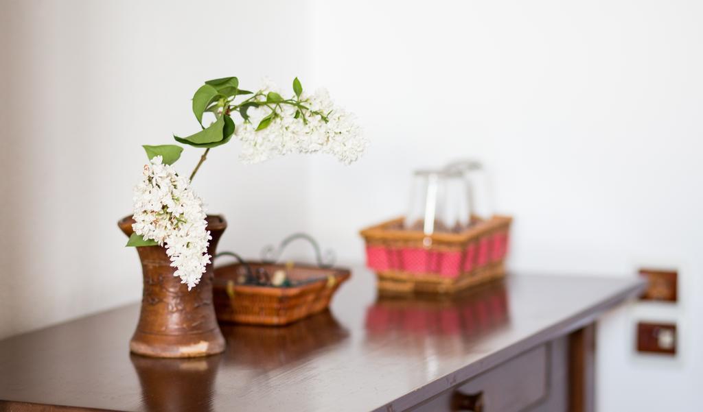 Casa Mosului - Transfagarasan Bed & Breakfast Cîrţişoara 외부 사진