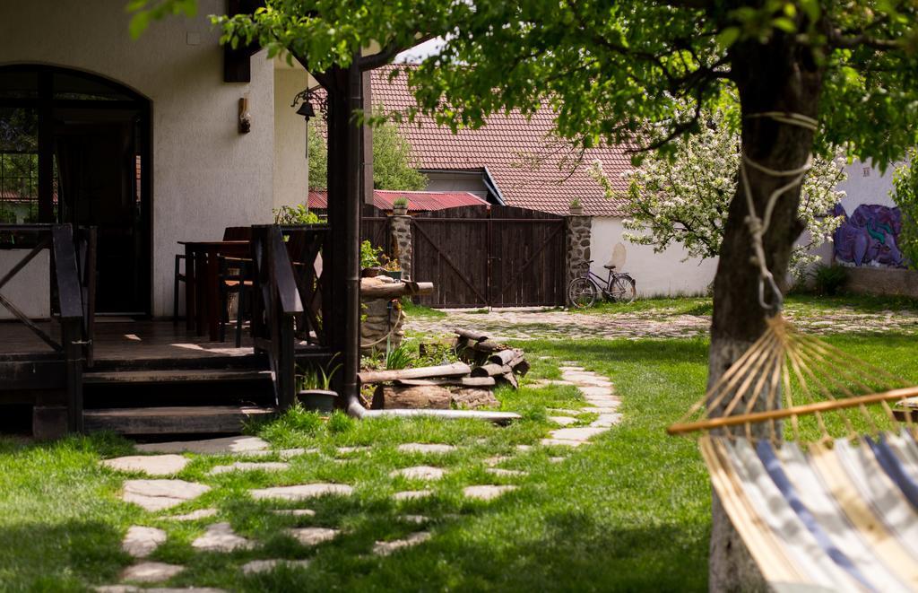 Casa Mosului - Transfagarasan Bed & Breakfast Cîrţişoara 외부 사진