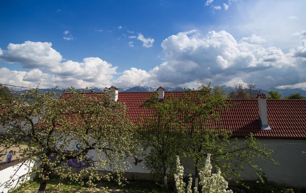 Casa Mosului - Transfagarasan Bed & Breakfast Cîrţişoara 외부 사진