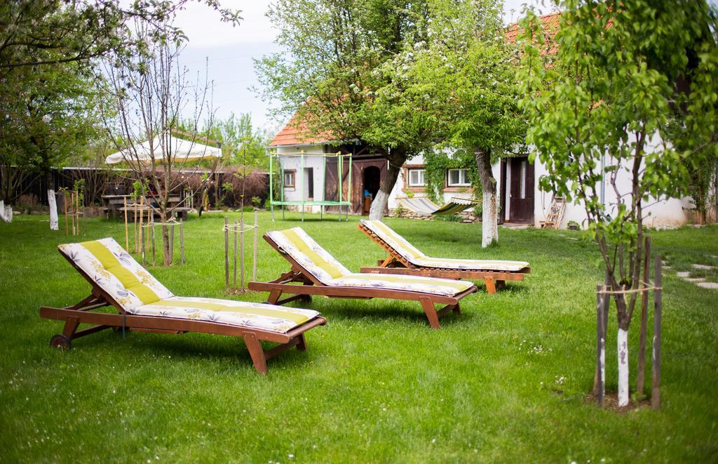 Casa Mosului - Transfagarasan Bed & Breakfast Cîrţişoara 외부 사진
