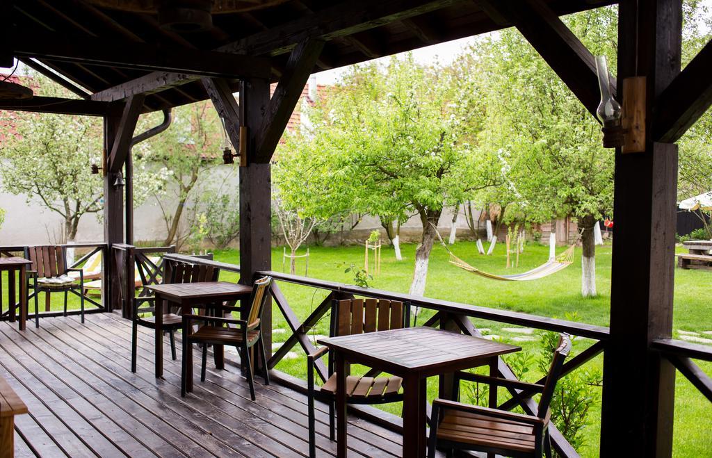 Casa Mosului - Transfagarasan Bed & Breakfast Cîrţişoara 외부 사진
