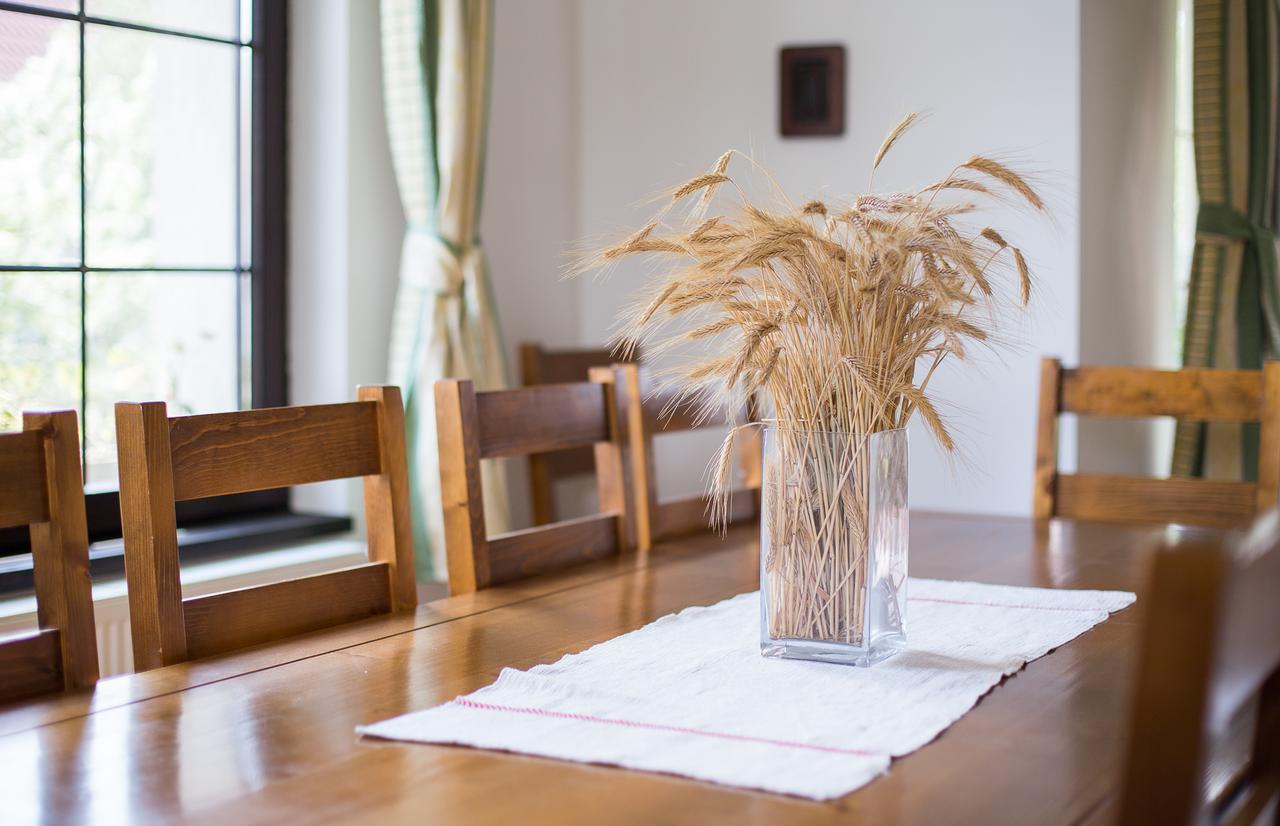 Casa Mosului - Transfagarasan Bed & Breakfast Cîrţişoara 외부 사진