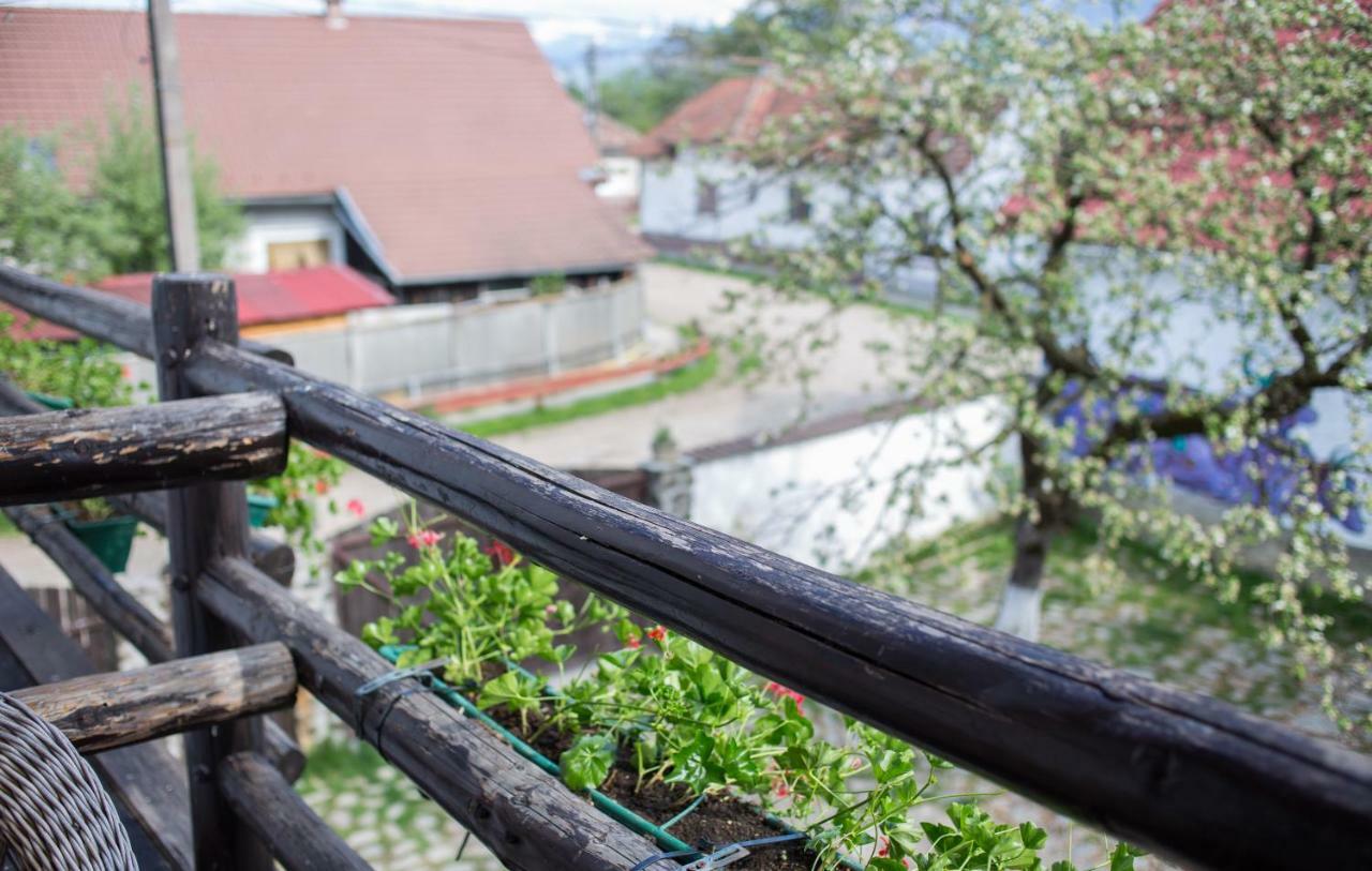 Casa Mosului - Transfagarasan Bed & Breakfast Cîrţişoara 외부 사진